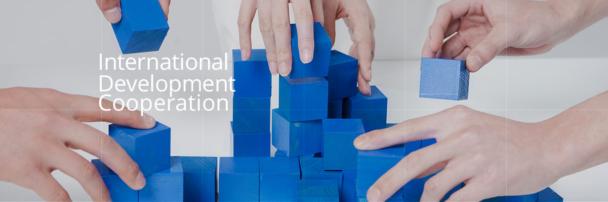 International Development Cooperation